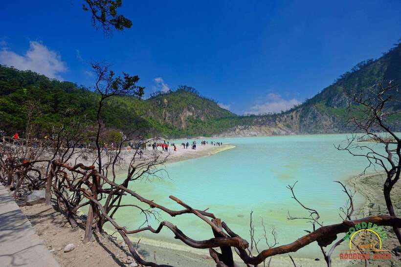 Jakarta: Volcano, Suspension Bridge, and Hot Spring Tour - Tea Plantation Finish: Turning Scenery Into a Simple Food Memory