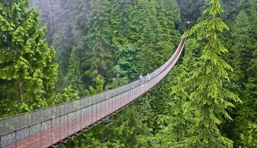Jakarta: Volcano, Suspension Bridge, and Hot Spring Tour - Guides, Small Groups, and Why Photo Stops Feel Easier Here