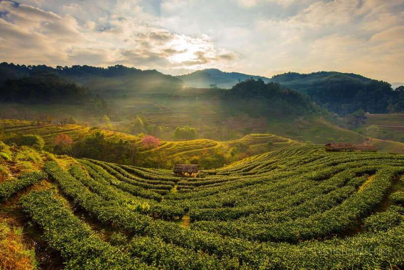 Jakarta: Volcano, Suspension Bridge, and Hot Spring Tour - Price and Value: Is $128 Worth a Full Day Like This?