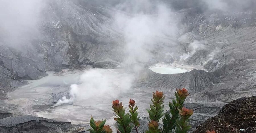 Jakarta: Volcano, Tea/Rice Fields, Hot Spring, Local Food - Price and value: does $114 make sense for this full-day plan?