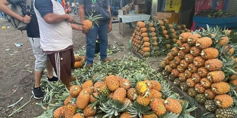 Jakarta: Volcano, Tea/Rice Fields, Hot Spring, Local Food - The taste of honey pineapple to end the day