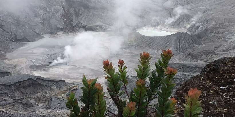 Jakarta: Volcano, Tea/Rice Fields, Hot Spring, Local Food - Morning pickup and the road to Subang and Lembang