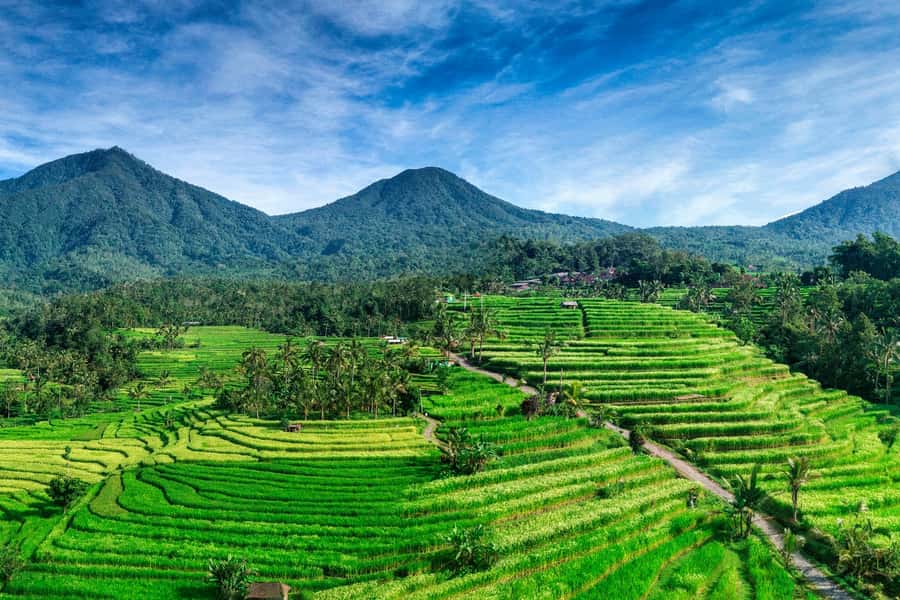 Jatiluwih (UNESCO Site) 2-Hour E-Bike Cycling Tour - The ride toward Jatiluwih center, jungle, bamboo, villages, and valley views