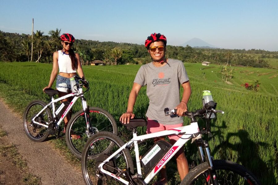 Jatiluwih (UNESCO Site) 2-Hour E-Bike Cycling Tour - The Subak and village-life angle, what the guide may explain