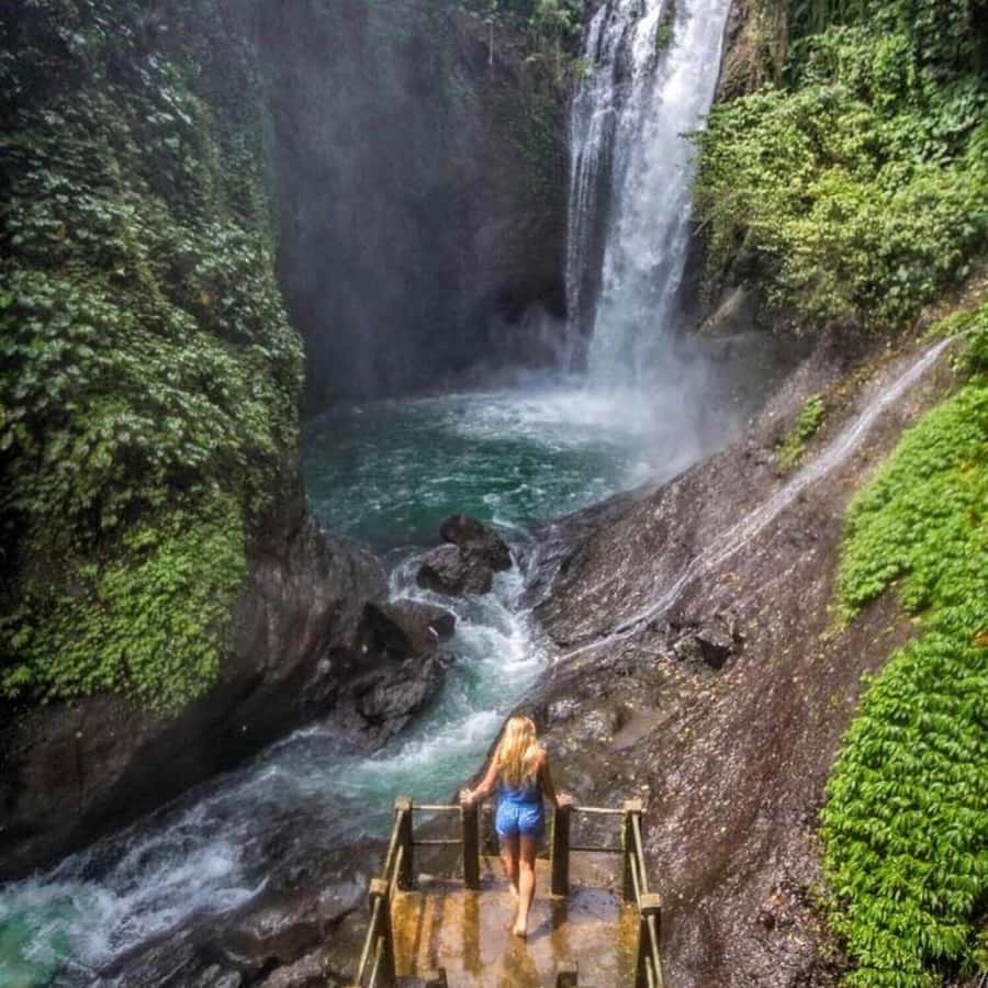 Jumping Sliding at Aling- Aling Waterfall and Handara Gate - Key highlights you will feel right away