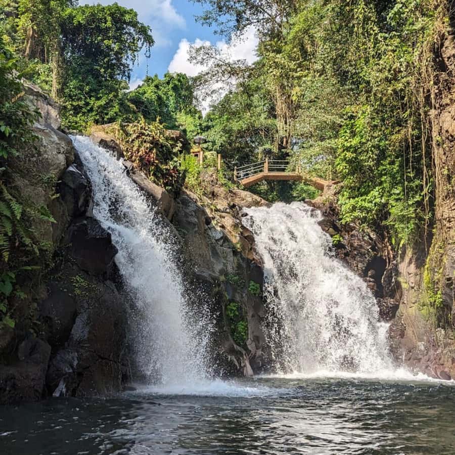 Jumping Sliding at Aling- Aling Waterfall and Handara Gate - Tabanan coffee plantation and tasting in 30 minutes