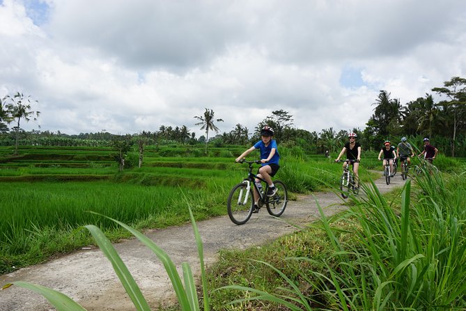 Kintamani Cultural and Nature Cycling Tour ( Manual Bike ) - Key things I’d watch for before you book