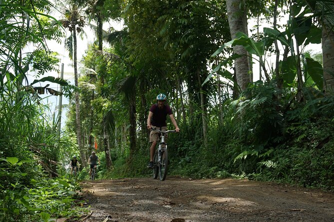 Kintamani Cultural and Nature Cycling Tour ( Manual Bike ) - Why this Kintamani cycling day feels different from a standard Bali tour