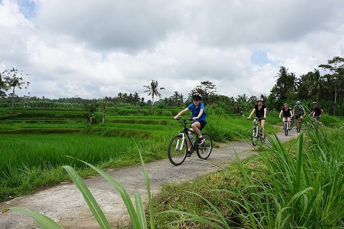 Kintamani Cultural and Nature Cycling Tour ( Manual Bike ) - Stop by stop: from coffee at Greenbike Adventure to lunch at Greenkubu
