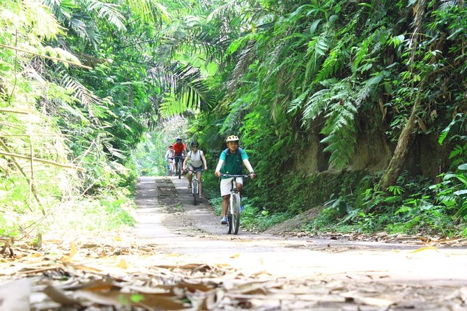 Kintamani Cultural and Nature Cycling Tour ( Manual Bike ) - Guides you might meet: how personalities shape the tour