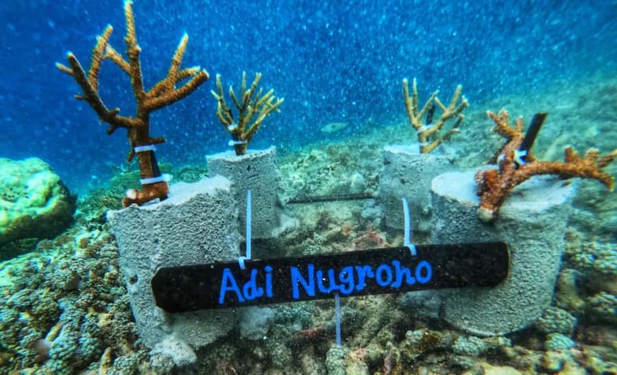 Komodo Conservation Tour with unique experience - A one-day Komodo loop that feels human, not manufactured