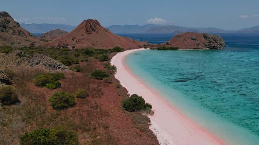 Komodo Full Day Speedboat Tour from Labuan Bajo - Key takeaways before you go