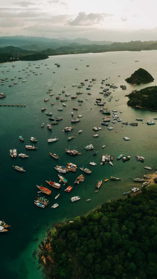 Komodo Full Day Speedboat Tour from Labuan Bajo - Komodo Island and dragon viewing without the hype bubbles