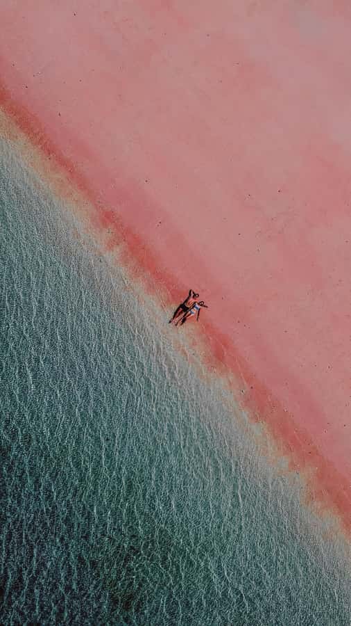 Komodo Full Day Speedboat Tour from Labuan Bajo - Pink Beach on Komodo Island: pink sand, swim time, and practical snorkeling