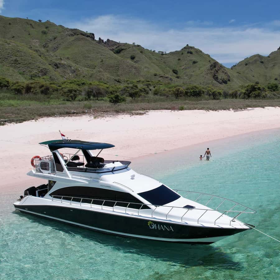 Komodo Full Day Speedboat Tour from Labuan Bajo - Pulau Makasar and Kanawa Island: the fun, less stressful water breaks