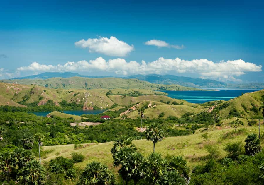 Komodo Island: Private 3-Day Tour with Boat and Hotel Stay - Should you book this Komodo Island private 3-day tour?