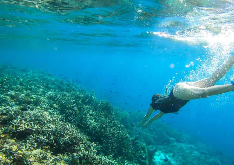 Komodo Island: Private 3-Day Tour with Boat and Hotel Stay - Day 2: Komodo Island trek, Pink Beach, Kanawa reefs, Kalong bats