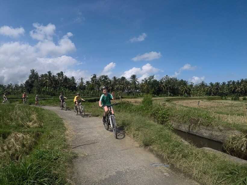 Kuta: Kintamani Culture and Nature Guided Cycling Tour - Who should book this Kuta to Kintamani cycling tour