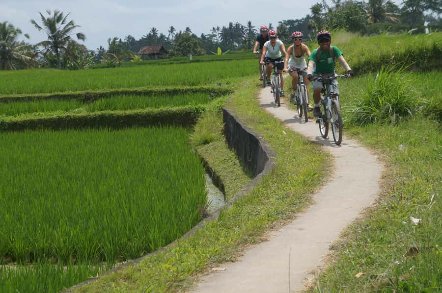 Kuta: Kintamani Culture and Nature Guided Cycling Tour - Coffee break under palms, traditional cake, and a real reset
