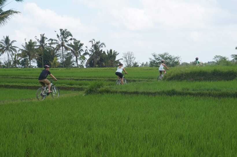 Kuta: Kintamani Culture and Nature Guided Cycling Tour - Gunung Raung temple in Taro, then Bresela’s rice-field wow moment
