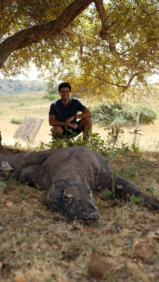Labuan Bajo: 2D1N Komodo & Pink Beach Shared Boat Tour - The Komodo loop you actually want: 2 days, 1 overnight, big variety