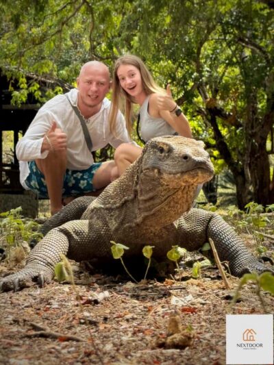 2D1N Komodo & Pink Beach Shared Boat Tour
