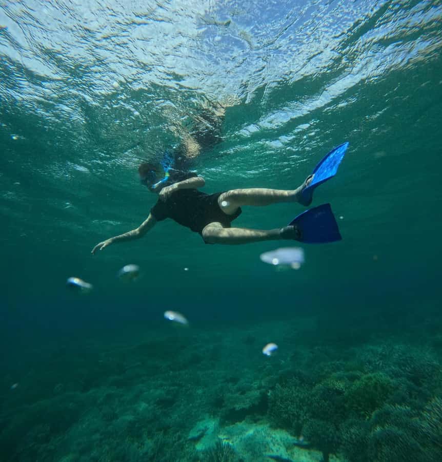 Labuan Bajo: 2D1N Komodo & Pink Beach Shared Boat Tour - Pink Beach time: swimming at the edge of the park