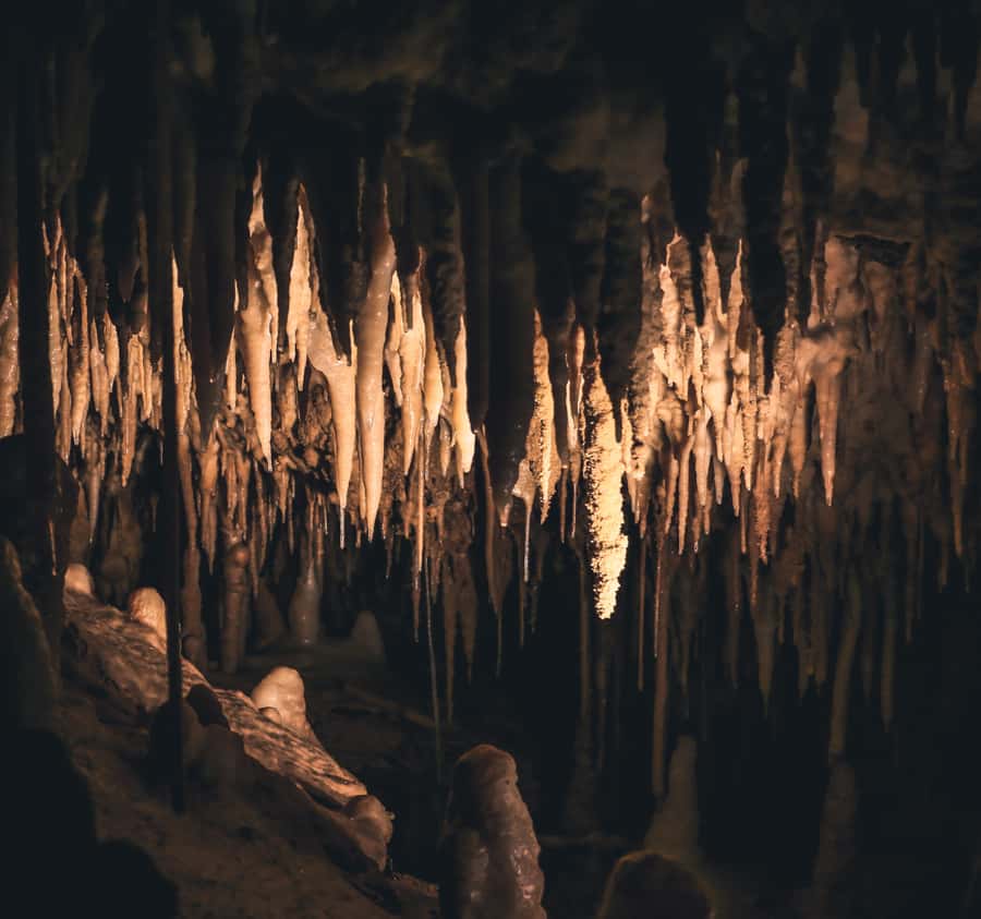 Labuan Bajo:Batu Cermin, Rangko Cave, Sylvia Hill & Waringin - Key Points You Will Care About