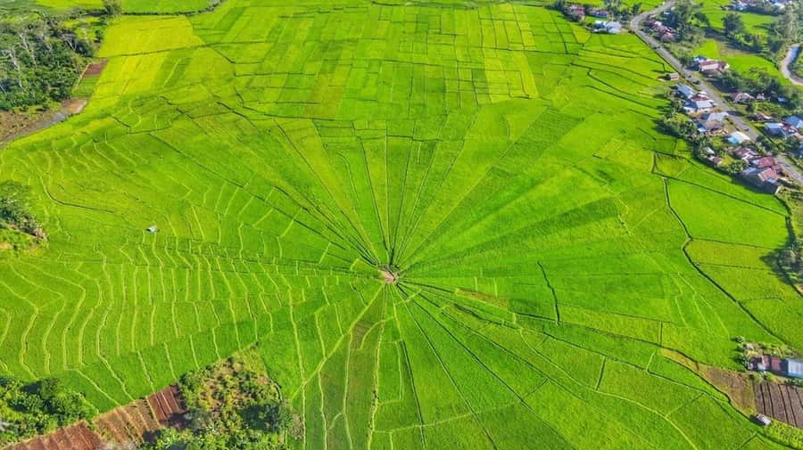 Labuan Bajo: Exploring Wae Rebo Village 2-Day Tour - Key things that make this Wae Rebo trip special