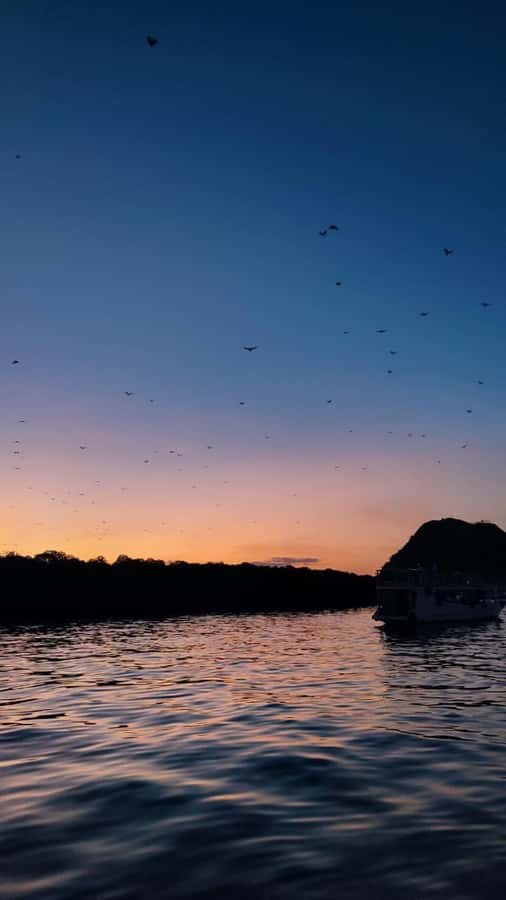 Labuan bajo: One Day Komodo Private & Shared Speedboat Trip - Komodo Island Dragon Viewing: The Hard Part Is Crowd Management
