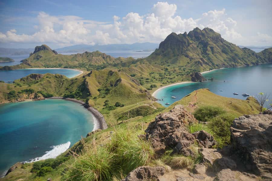 Labuan Bajo: One Day Tour to Explore Komodo National Park - Pink Beach, Komodo: swim time meets snorkeling conditions