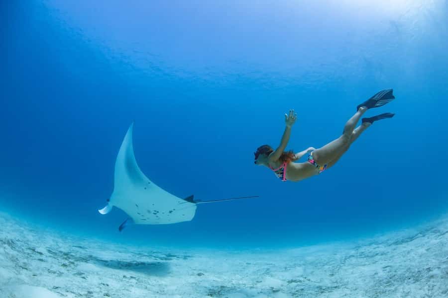 Labuan Bajo: Swim and Snorkel Komodo Island Trip with Lunch - Manta Point: Where the Itinerary Gets Its Big Wildlife Promise