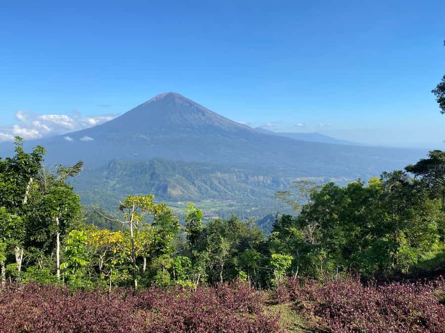 Lahangan Sweet, Tirta Gangga & Virgin Beach - East Bali in one circuit: why this 8-hour plan makes sense