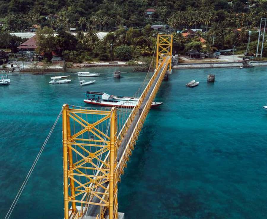 Lembongan Day Cruise: Activities in Lembongan - Snorkeling around Nusa Lembongan and Penida waters: the coral payoff, plus a real risk