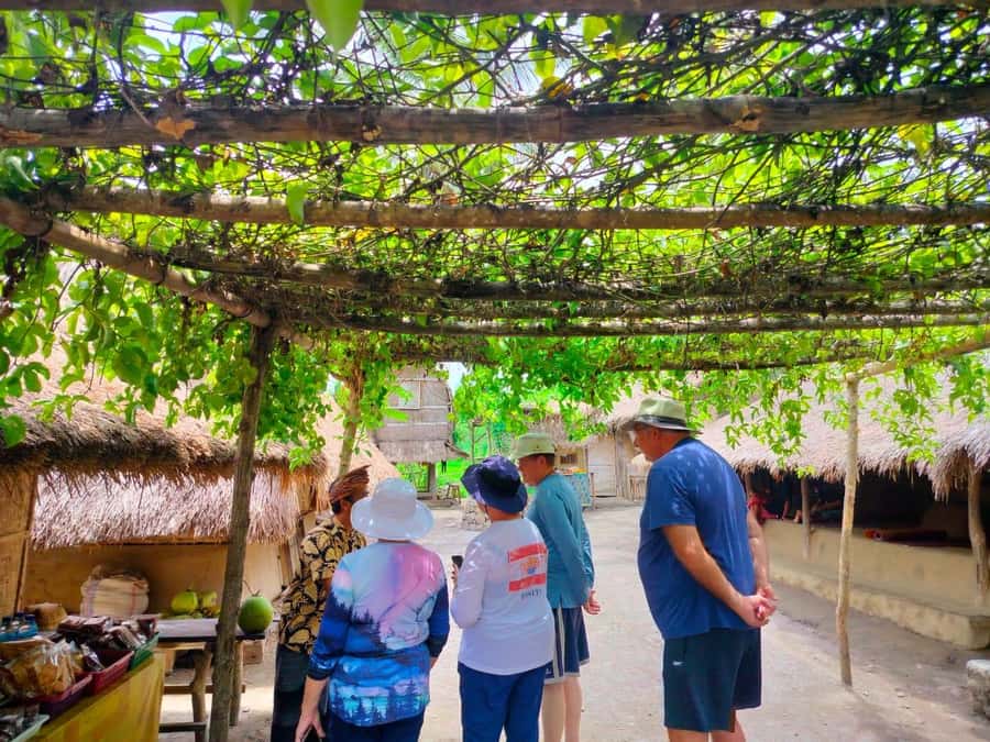 Lombok: Cultural Day Tour & Beach Pickup Cruise Port/Hotel - The Optional Sunset Add-On: Tanjung Aan if You Have Time