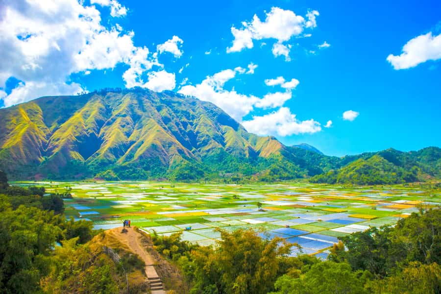 Lombok: Exclusive Sendang Gile, Tiu Kelep & Selong Hill Tour - Pickup timing and why the drive matters more than you think