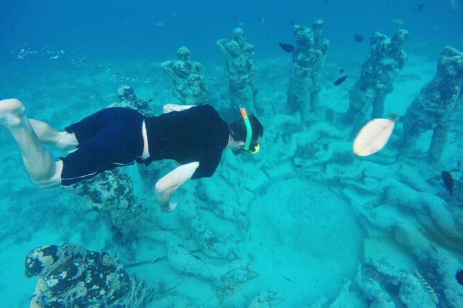 Lombok : Gili Islands Private Snorkeling Tour - Why This Private Gili Island Plan Feels Worth It