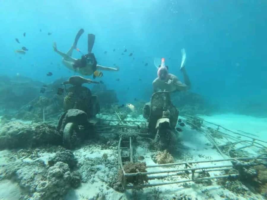 Lombok : Gili Islands Private Snorkeling Tour - Gili Trawangan: Sea Turtles, Lunch on Your Schedule, Then Island Life