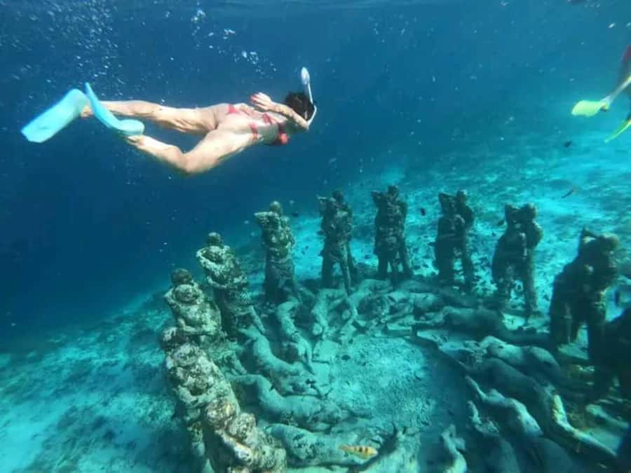 Lombok : Gili Islands Private Snorkeling Tour - Safety, Comfort, and Rules That Actually Matter