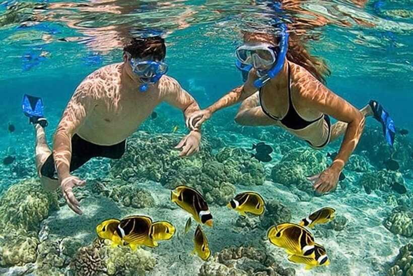Lombok: Gili Kondo, Petagan, dan kapal Snorkeling Tour - Gili Petagan mangroves: calmer nature, different kind of snorkeling