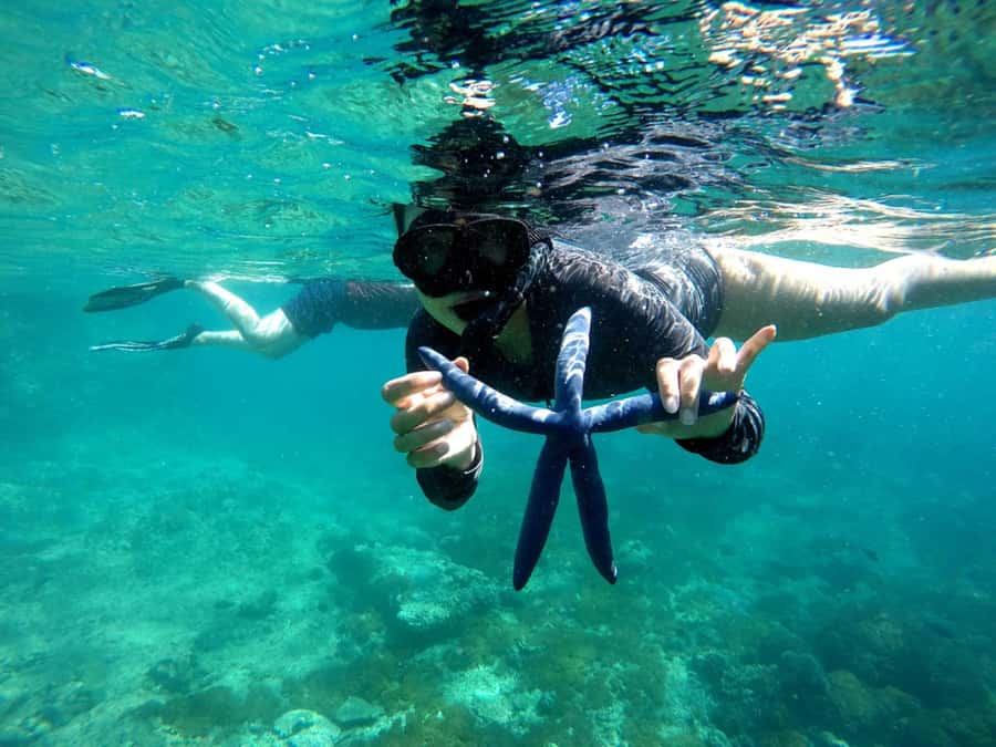 Lombok: Gili Nanggu, Sudak and Kedis Private Snorkeling Tour - Gili Sudak photo stop and starfish spotting, with a reef-safe mindset