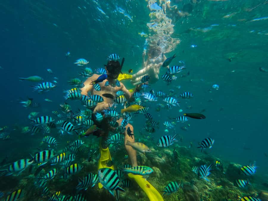 Lombok: Gili Nanggu, Sudak, & Gili Kedis Private Snorkeling - Secret Gilis: why this south Lombok route feels special