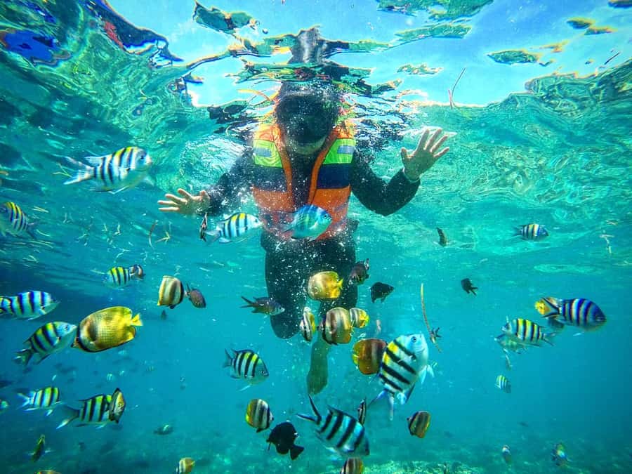 Lombok: Gili Nanggu, Sudak, & Gili Kedis Private Snorkeling - Getting picked up and reaching the harbor (private car, multiple pickup spots)
