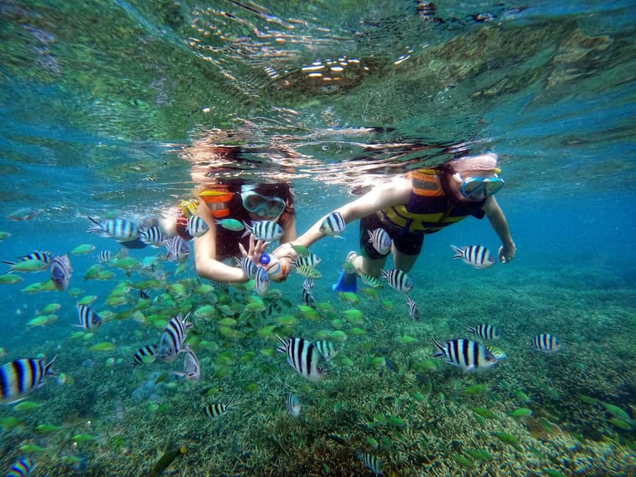 Lombok: Gili Nanggu, Sudak, & Gili Kedis Private Snorkeling - Gili Sudak lunch plus a second snorkeling window