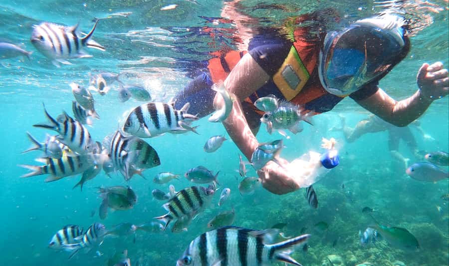 Lombok: Gili Nanggu, Sudak, & Gili Kedis Private Snorkeling - Price and what you get for about $48 per person