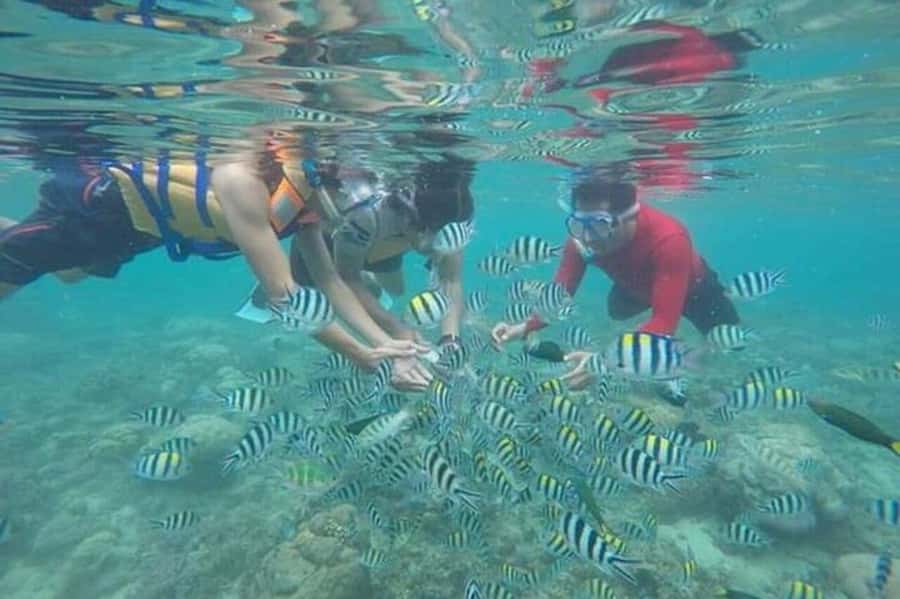 Lombok: Gili Nanggu, Tangkong, Sudak, and Kedis Islands Tour - Key highlights I’d prioritize