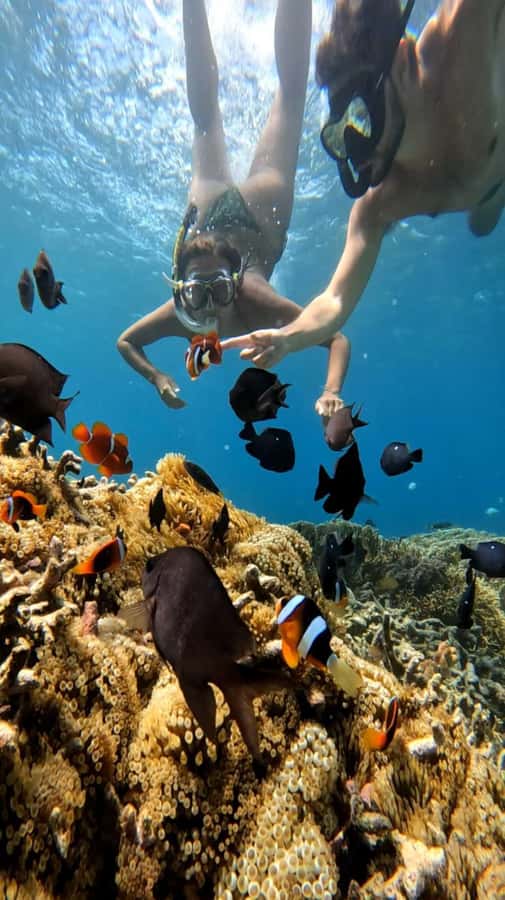 Lombok: Gili Nanggu, Tangkong, Sudak, and Kedis Islands Tour - Should you book: best fit, risks, and practical tips