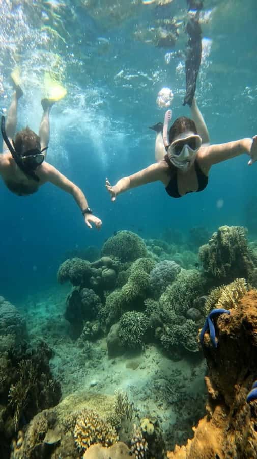 Lombok: Gili Nanggu, Tangkong, Sudak, and Kedis Islands Tour - Gili Tangkong: the no-resort island where your schedule slows down