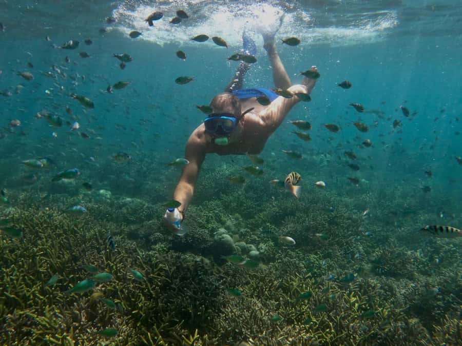 Lombok: Gili Nanggu, Tangkong, Sudak, and Kedis Islands Tour - Packing for coral reefs: sunscreen, water, and the rules