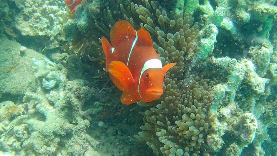 Lombok: Gili Rengit, Gili Gede, and Gili Layar Island Tour - Key points to know before you go